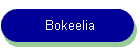 Bokeelia